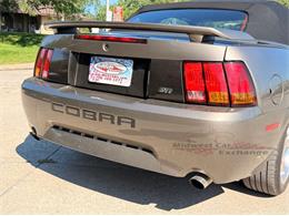 2001 Ford Mustang SVT Cobra (CC-2087000) for sale in Alsip, Illinois