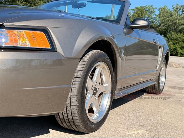 2001 Ford Mustang SVT Cobra (CC-2087000) for sale in Alsip, Illinois