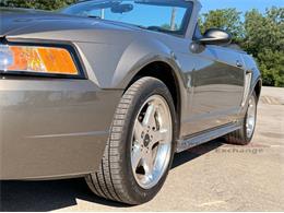 2001 Ford Mustang SVT Cobra (CC-2087000) for sale in Alsip, Illinois