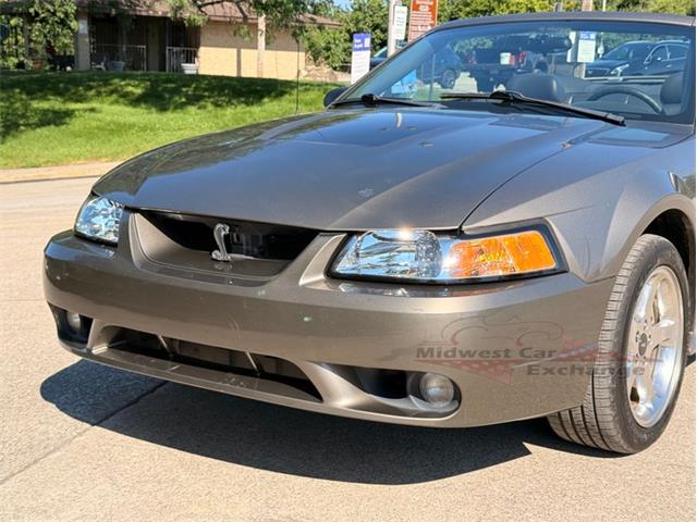 2001 Ford Mustang SVT Cobra (CC-2087000) for sale in Alsip, Illinois