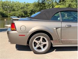 2001 Ford Mustang SVT Cobra (CC-2087000) for sale in Alsip, Illinois