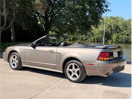 2001 Ford Mustang SVT Cobra (CC-2087000) for sale in Alsip, Illinois
