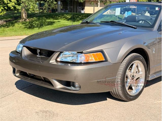 2001 Ford Mustang SVT Cobra (CC-2087000) for sale in Alsip, Illinois