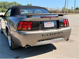 2001 Ford Mustang SVT Cobra (CC-2087000) for sale in Alsip, Illinois