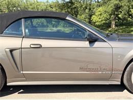 2001 Ford Mustang SVT Cobra (CC-2087000) for sale in Alsip, Illinois
