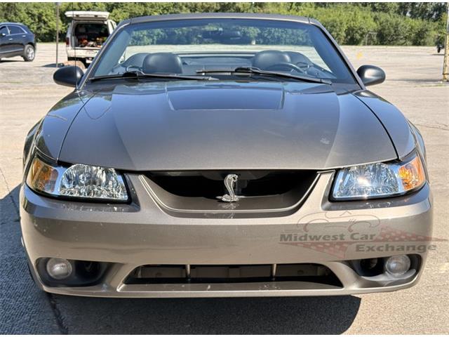 2001 Ford Mustang SVT Cobra (CC-2087000) for sale in Alsip, Illinois