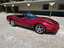 1989 Chevrolet Corvette (CC-2087032) for sale in Nashville, Illinois