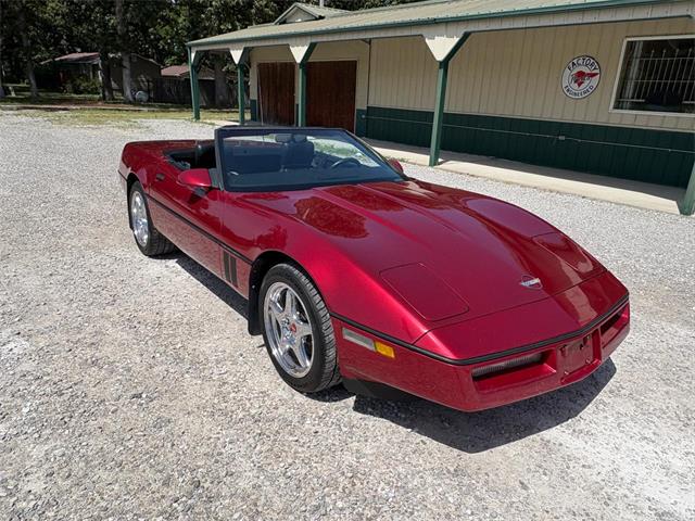 1989 Chevrolet Corvette (CC-2087032) for sale in Nashville, Illinois