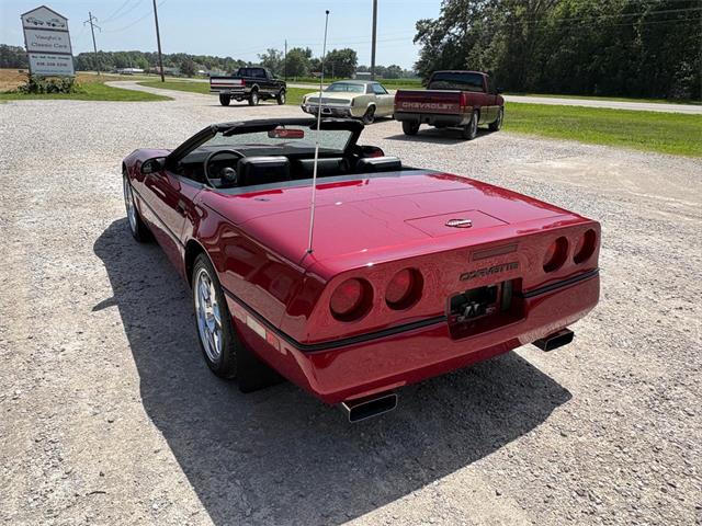1989 Chevrolet Corvette (CC-2087032) for sale in Nashville, Illinois