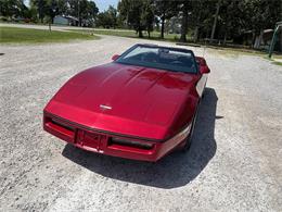1989 Chevrolet Corvette (CC-2087032) for sale in Nashville, Illinois