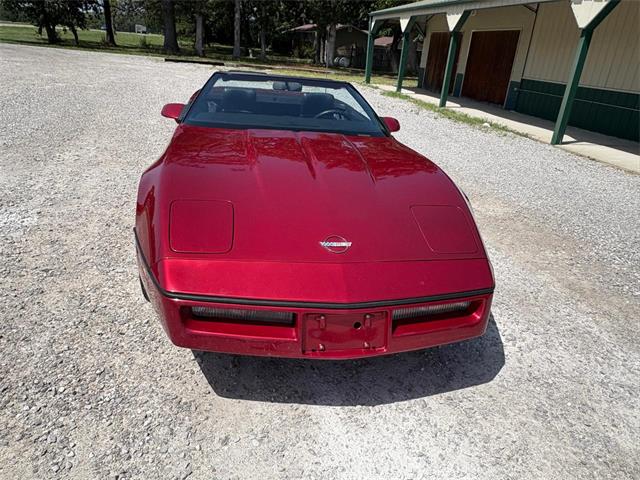 1989 Chevrolet Corvette (CC-2087032) for sale in Nashville, Illinois