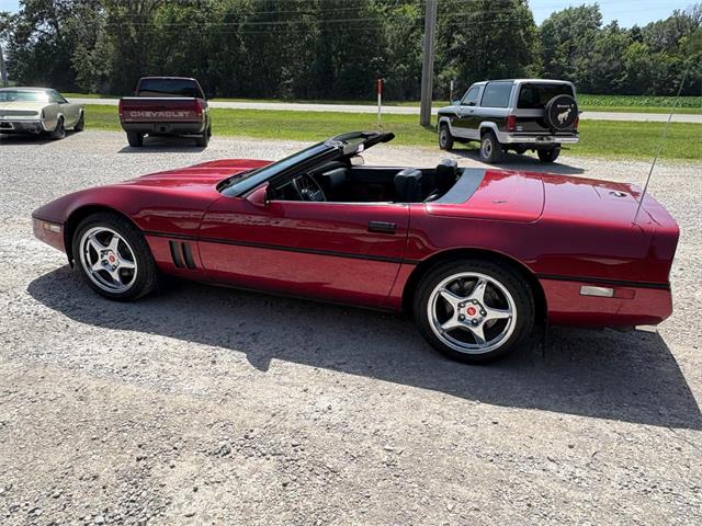 1989 Chevrolet Corvette (CC-2087032) for sale in Nashville, Illinois