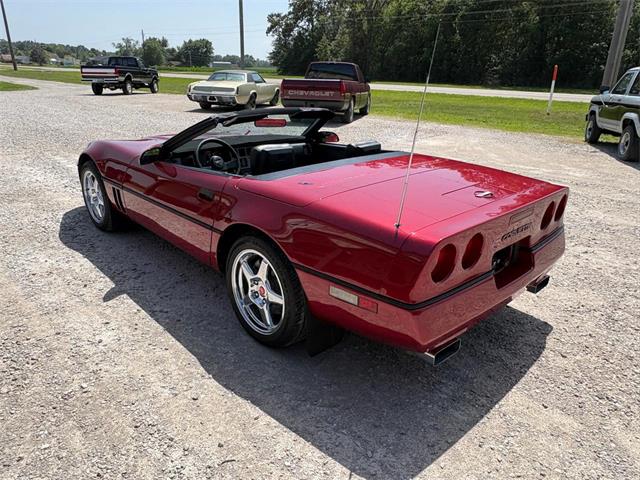 1989 Chevrolet Corvette (CC-2087032) for sale in Nashville, Illinois