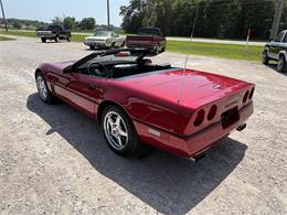 1989 Chevrolet Corvette (CC-2087032) for sale in Nashville, Illinois