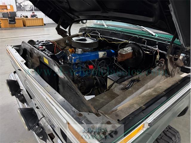 1977 Ford F150 (CC-2087096) for sale in Holland , Michigan