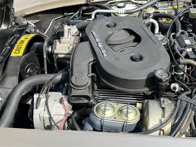 1982 Chevrolet Corvette C3 (Collector's Edition) (CC-2087132) for sale in Rockford , Illinois
