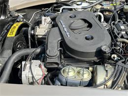1982 Chevrolet Corvette C3 (Collector's Edition) (CC-2087132) for sale in Rockford , Illinois