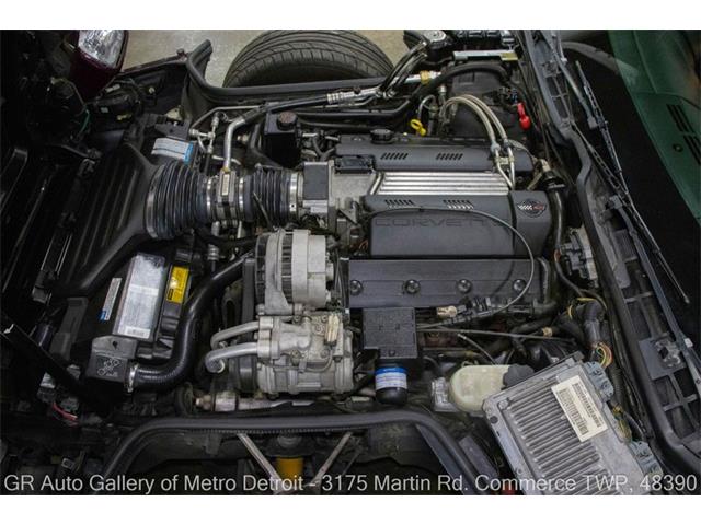 1995 Chevrolet Corvette (CC-2087159) for sale in Kentwood, Michigan
