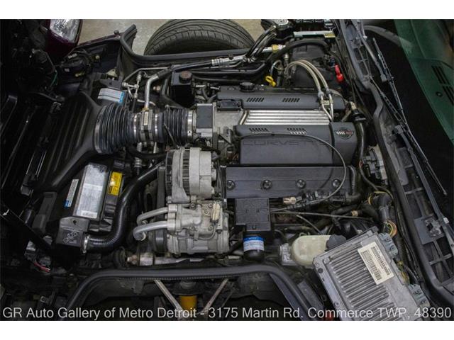 1995 Chevrolet Corvette (CC-2087159) for sale in Kentwood, Michigan