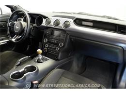 2015 Ford Mustang (CC-2087180) for sale in Mesa, Arizona