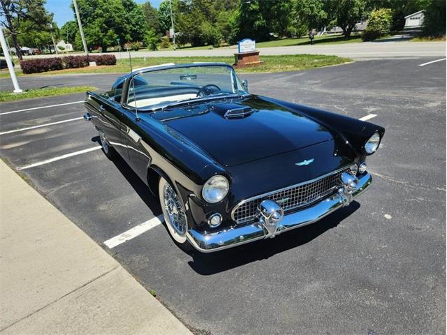1956 Ford Thunderbird (CC-2087202) for sale in Greensboro, North Carolina