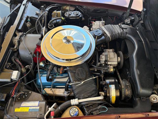 1980 Chevrolet Corvette (CC-2087212) for sale in Bradenton, Florida