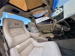 1980 Chevrolet Corvette (CC-2087212) for sale in Bradenton, Florida