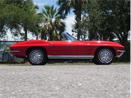 1964 Chevrolet Corvette (CC-2087236) for sale in Palmetto, Florida