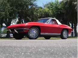 1964 Chevrolet Corvette (CC-2087236) for sale in Palmetto, Florida