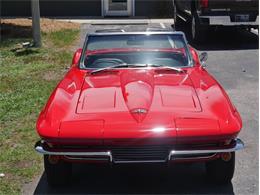 1964 Chevrolet Corvette (CC-2087236) for sale in Palmetto, Florida