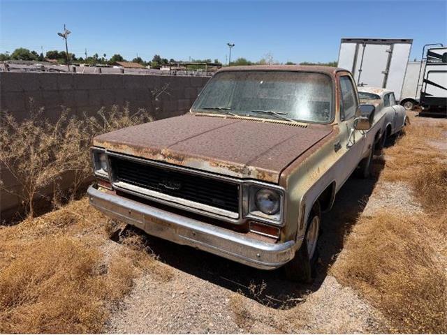 1973 Chevrolet C20 (CC-2087247) for sale in Cadillac, Michigan