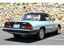 1984 Alfa Romeo Spider (CC-2080725) for sale in Santa Barbara, California