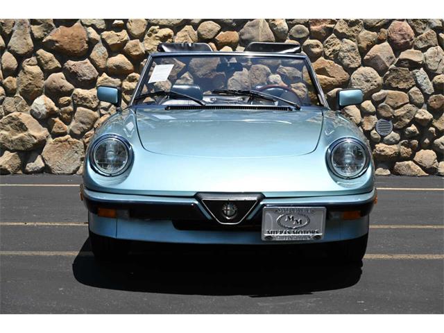 1984 Alfa Romeo Spider (CC-2080725) for sale in Santa Barbara, California