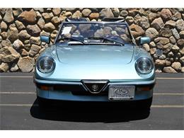 1984 Alfa Romeo Spider (CC-2080725) for sale in Santa Barbara, California