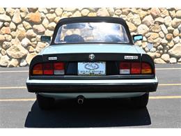 1984 Alfa Romeo Spider (CC-2080725) for sale in Santa Barbara, California