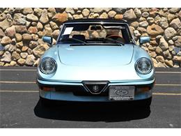 1984 Alfa Romeo Spider (CC-2080725) for sale in Santa Barbara, California