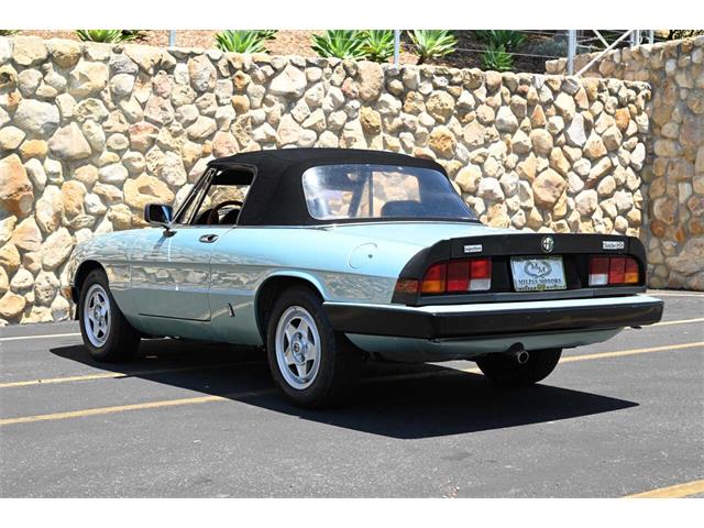 1984 Alfa Romeo Spider (CC-2080725) for sale in Santa Barbara, California