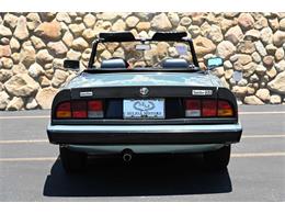1984 Alfa Romeo Spider (CC-2080725) for sale in Santa Barbara, California