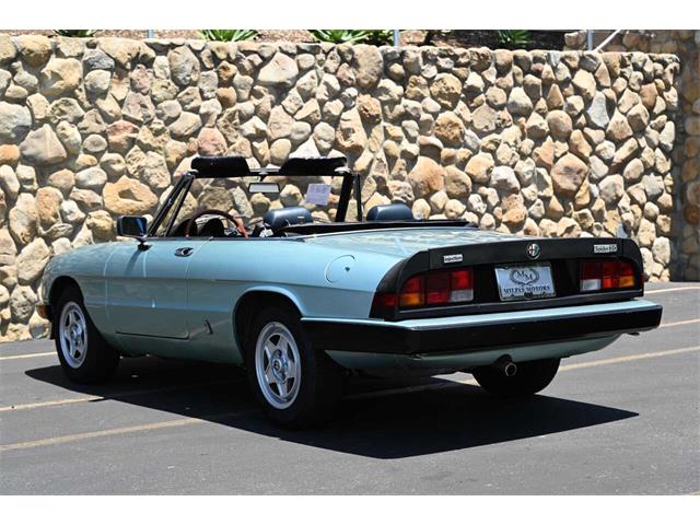 1984 Alfa Romeo Spider (CC-2080725) for sale in Santa Barbara, California