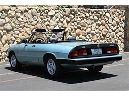 1984 Alfa Romeo Spider (CC-2080725) for sale in Santa Barbara, California