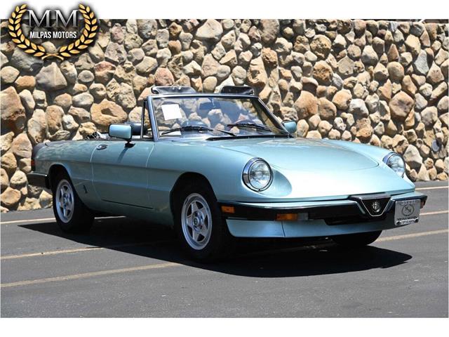 1984 Alfa Romeo Spider (CC-2080725) for sale in Santa Barbara, California