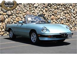 1984 Alfa Romeo Spider (CC-2080725) for sale in Santa Barbara, California