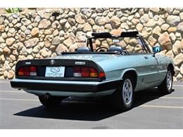 1984 Alfa Romeo Spider (CC-2080725) for sale in Santa Barbara, California
