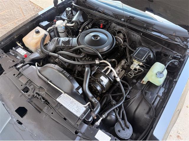 1987 Chevrolet Monte Carlo SS (CC-2087294) for sale in Alsip, Illinois