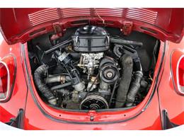 1971 Volkswagen Beetle (CC-2087310) for sale in Sherman, Texas