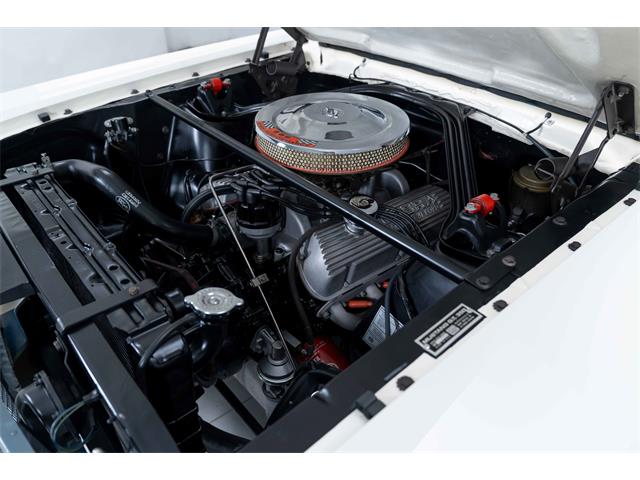 1965 Shelby GT350 (CC-2087367) for sale in Halton Hills, Ontario
