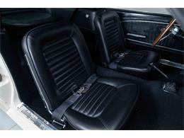 1965 Shelby GT350 (CC-2087367) for sale in Halton Hills, Ontario