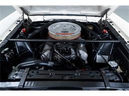 1965 Shelby GT350 (CC-2087367) for sale in Halton Hills, Ontario