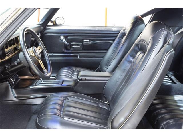 1977 Pontiac Firebird Trans Am (CC-2087372) for sale in Rockville, Maryland