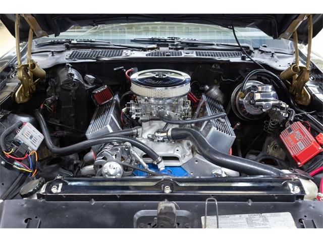 1977 Pontiac Firebird Trans Am (CC-2087372) for sale in Rockville, Maryland